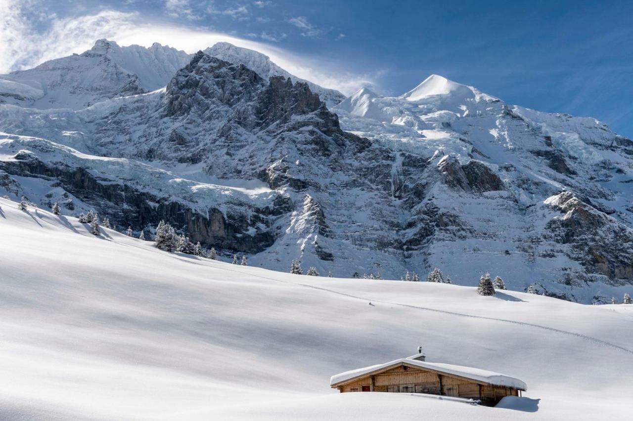 O 68 Haus Bel Air Apartment Wengen Bagian luar foto