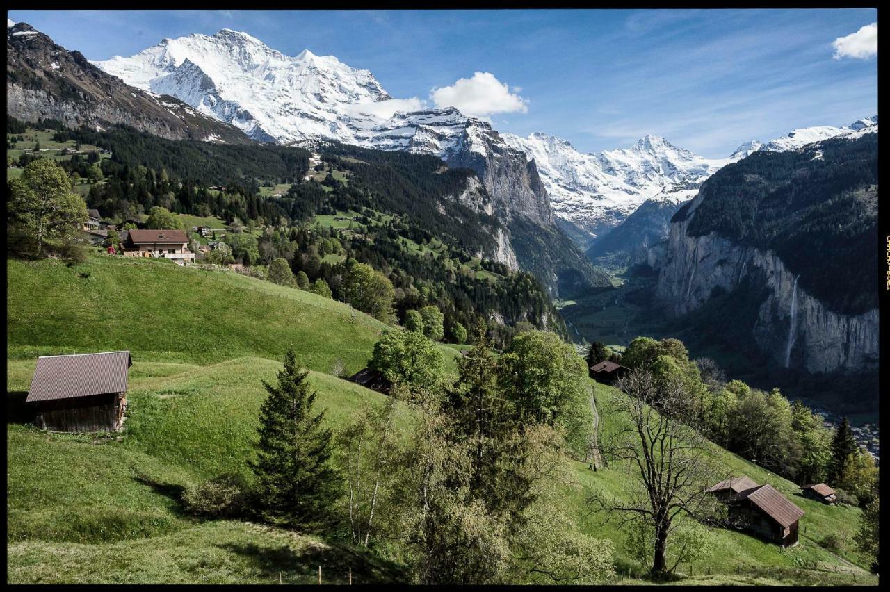 O 68 Haus Bel Air Apartment Wengen Bagian luar foto