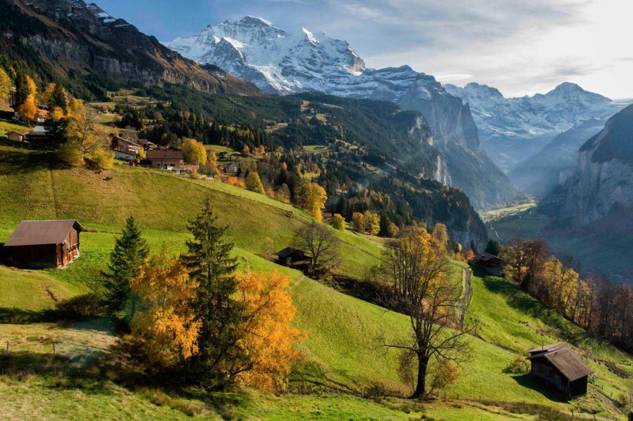 O 68 Haus Bel Air Apartment Wengen Bagian luar foto