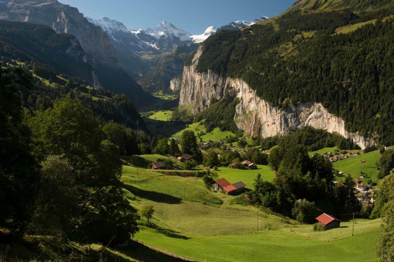 O 68 Haus Bel Air Apartment Wengen Bagian luar foto