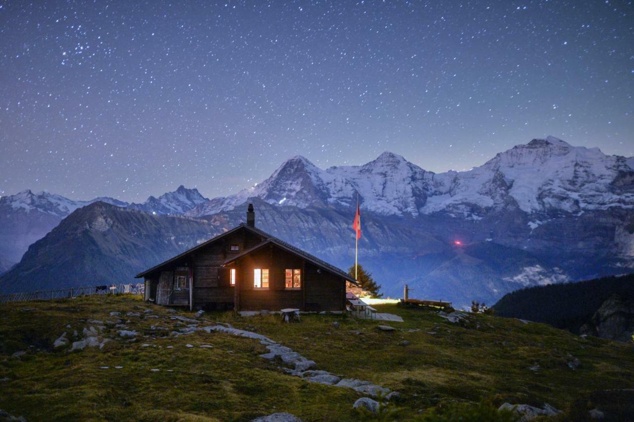 O 68 Haus Bel Air Apartment Wengen Bagian luar foto