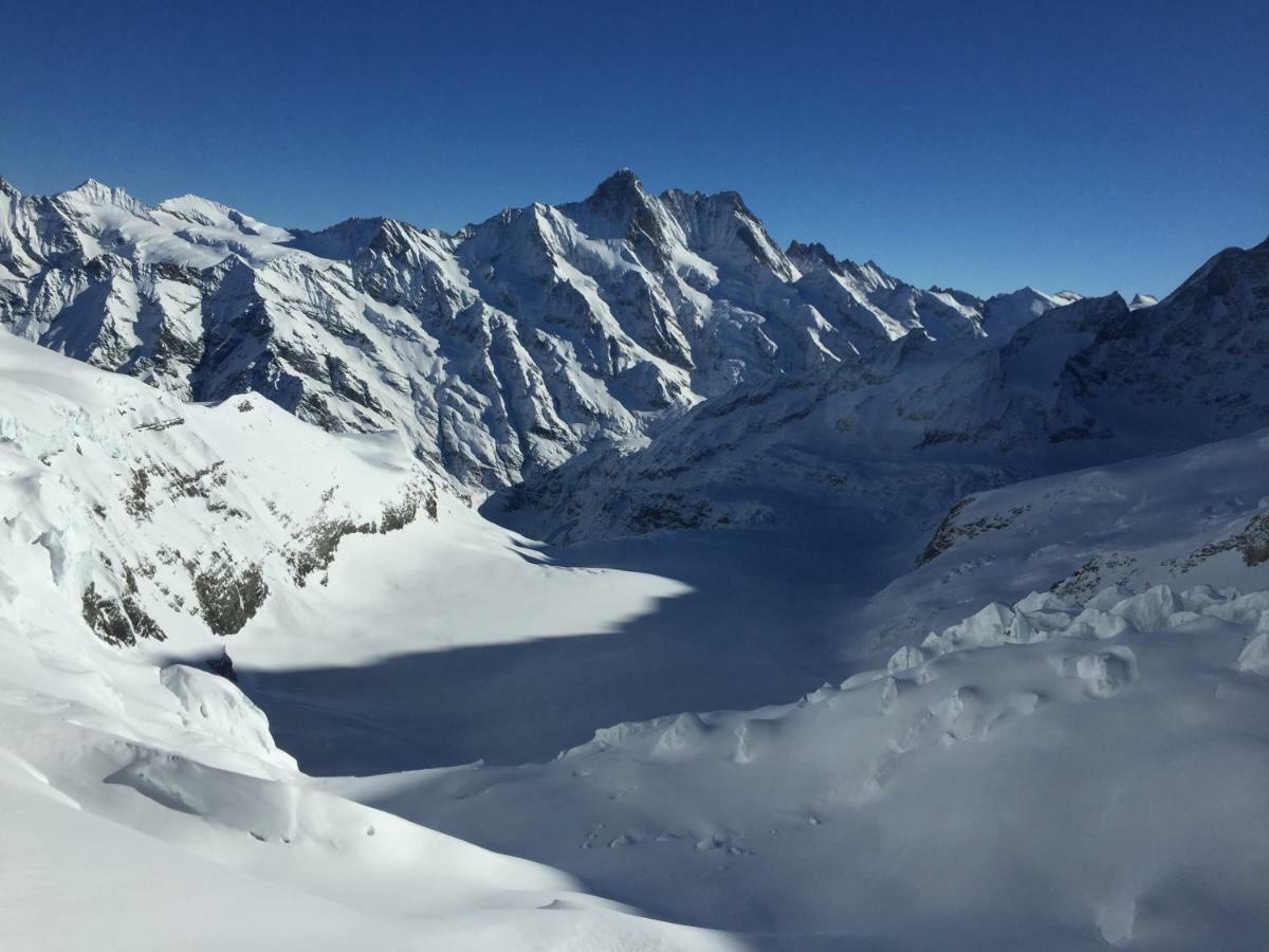O 68 Haus Bel Air Apartment Wengen Bagian luar foto